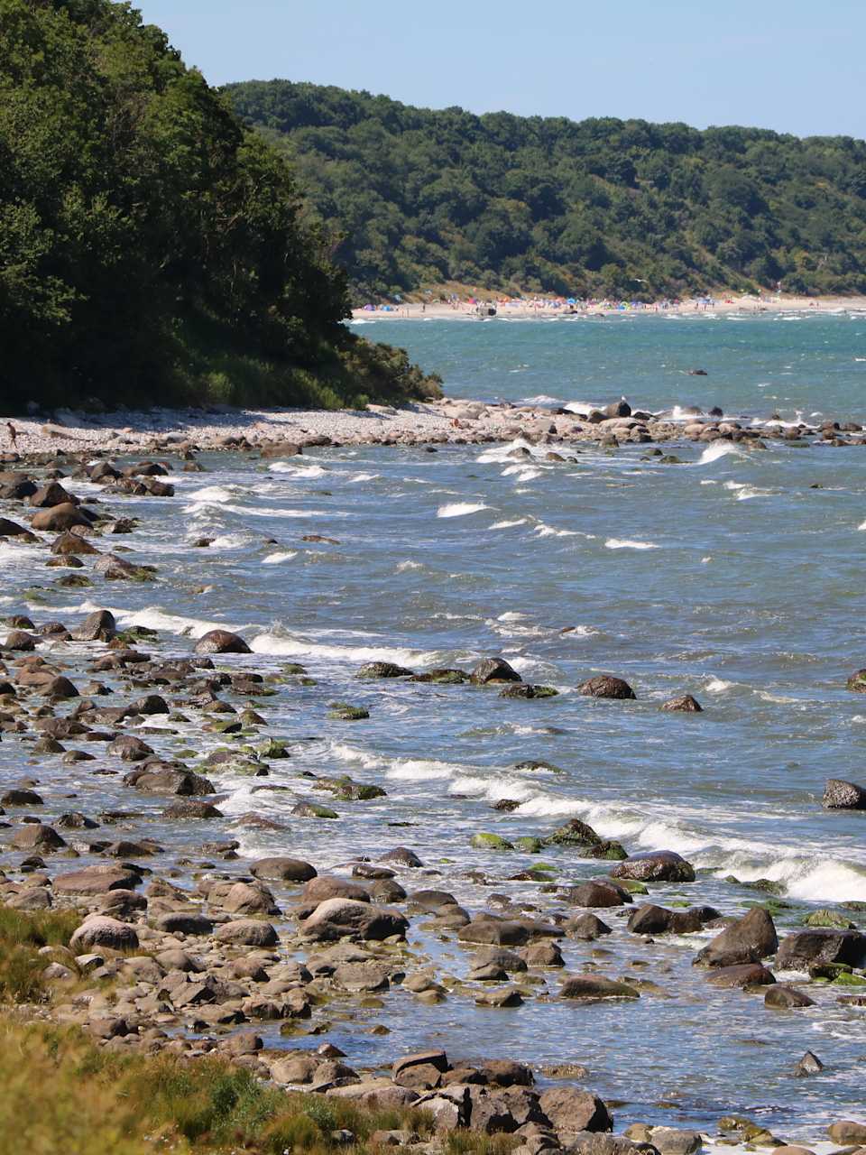 Ein Strand mit Felsen umgeben von Bäumen